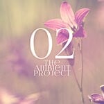 cover: Various - The Ambient Project Vol 2