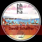 cover: David Schaffer - Sexy Wake Up (Remix)