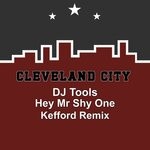 cover: Dj Tools - Hey Mr Shy One (Kefford Remix)