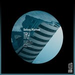 cover: Sebas Ramos - Try (Remixes)