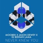 cover: Dj Bidhan Lama|Jason Dewey|Moobek - Never Knew You