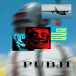 cover: Cxrsedpubger - Pubji