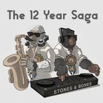 cover: Stones & Bones - The 12 Year Saga