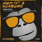 cover: Adam Vyt|Denoiserzs - Finished Mystery