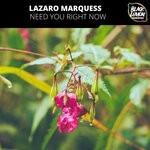 cover: Lazaro Marquess - Need You Right Now!