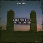 cover: Various - Perspective