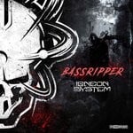 cover: Igneon System - Bassripper