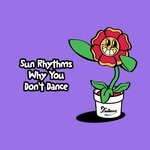 cover: Sun Rhythms - Why You Don't Dance