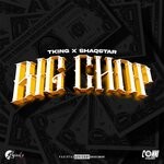 cover: Shaqstar|Tking - Big Chop