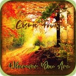 cover: Cosmic Fruits - Wherever You Are