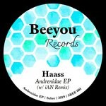 cover: Haass - Andrenidae EP