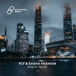 cover: Fly|Sasha Fashion - Right Now