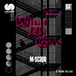 cover: M-scape - What He Gets (Remixes)