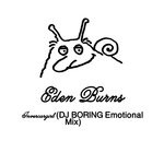 cover: Eden Burns - Invercargirl (DJ BORING Emotional Mix)