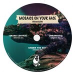 cover: Chamaleon - Mosaics On Your Face