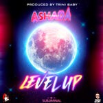 cover: Ashada - Level Up