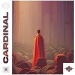 cover: Aim To Head - Cardinal