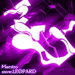 cover: Snow.leopard - Maestro