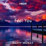 cover: Hayit Murat - Fell You