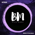 cover: Hotman - Noise Of The World