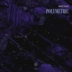 cover: Niju|Ninze - Polymetric EP