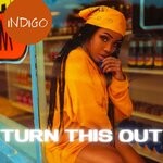 cover: Indigo - Turn This Out