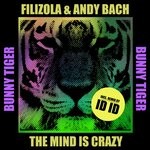 cover: Andy Bach|Filizola - The Mind Is Crazy