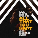 cover: Ibibio Sound Machine - All That You Want (Joe Goddard Remix)