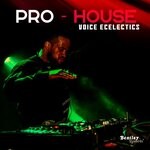 cover: Voice Ecelectics - Pro-House