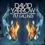 cover: David Yarrow - I'm Falling