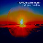 cover: The Only Star In The Sky - I Will Never Forget You (Endless Light)