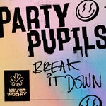 cover: Party Pupils - Break It Down (Extended Mix)