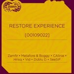 cover: Various - Restore Experience [00109022]