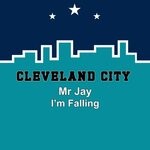 cover: Mr Jay - I'm Falling