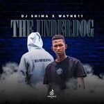 cover: Dj Shima|Wayne11 - The Underdog