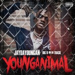 cover: Big B On Da Track|Jaydayoungan - YoungAnimal (Explicit)