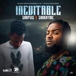 cover: Shokryme|Snapsis - Inevitable