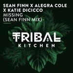 cover: Alegra Cole|Katie Dicicco|Sean Finn - Missing (Sean Finn Radio Edit)