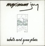 cover: Maximum Joy - White & Green Place