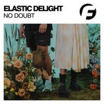 cover: Elastic Delight - No Doubt (Original Mix)