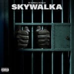 cover: Bigwalkdog - Skywalka