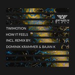 cover: Bajan K|Dominik Krammer|Twimotion - How It Feels