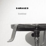 cover: Lambchop - Damaged