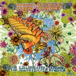 cover: Radar Brothers - The Illustrated Garden