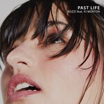 cover: Pj Morton|Rozzi - Past Life