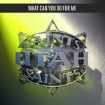 cover: Utah Saints - What Can You Do For Me