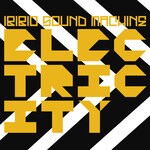 cover: Ibibio Sound Machine - Electricity