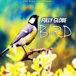 cover: Fully Globe - Bird