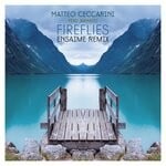 cover: Damato|Matteo Ceccarini - Firefliess