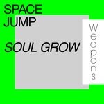 cover: Space Jump - Soul Grow